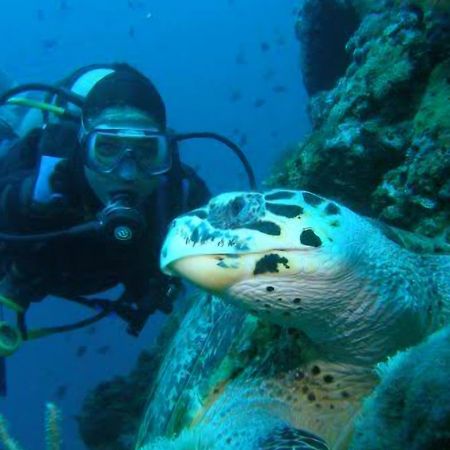 Nirvana Bamboo Houses & Dive Resort Moalboal Bagian luar foto