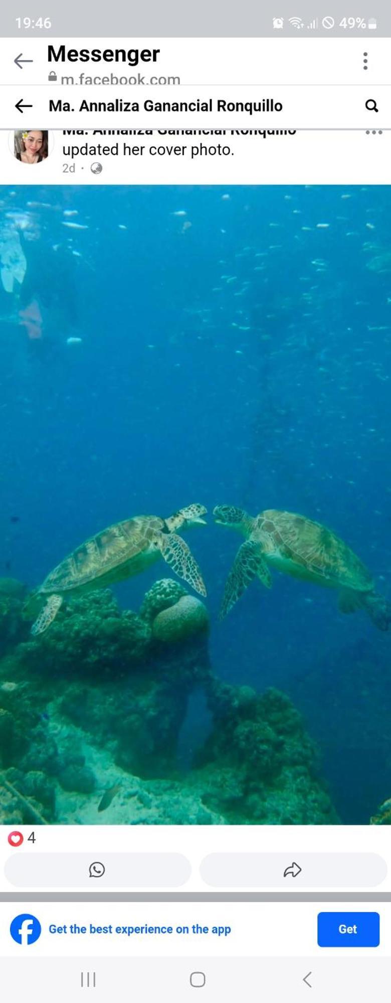 Nirvana Bamboo Houses & Dive Resort Moalboal Bagian luar foto