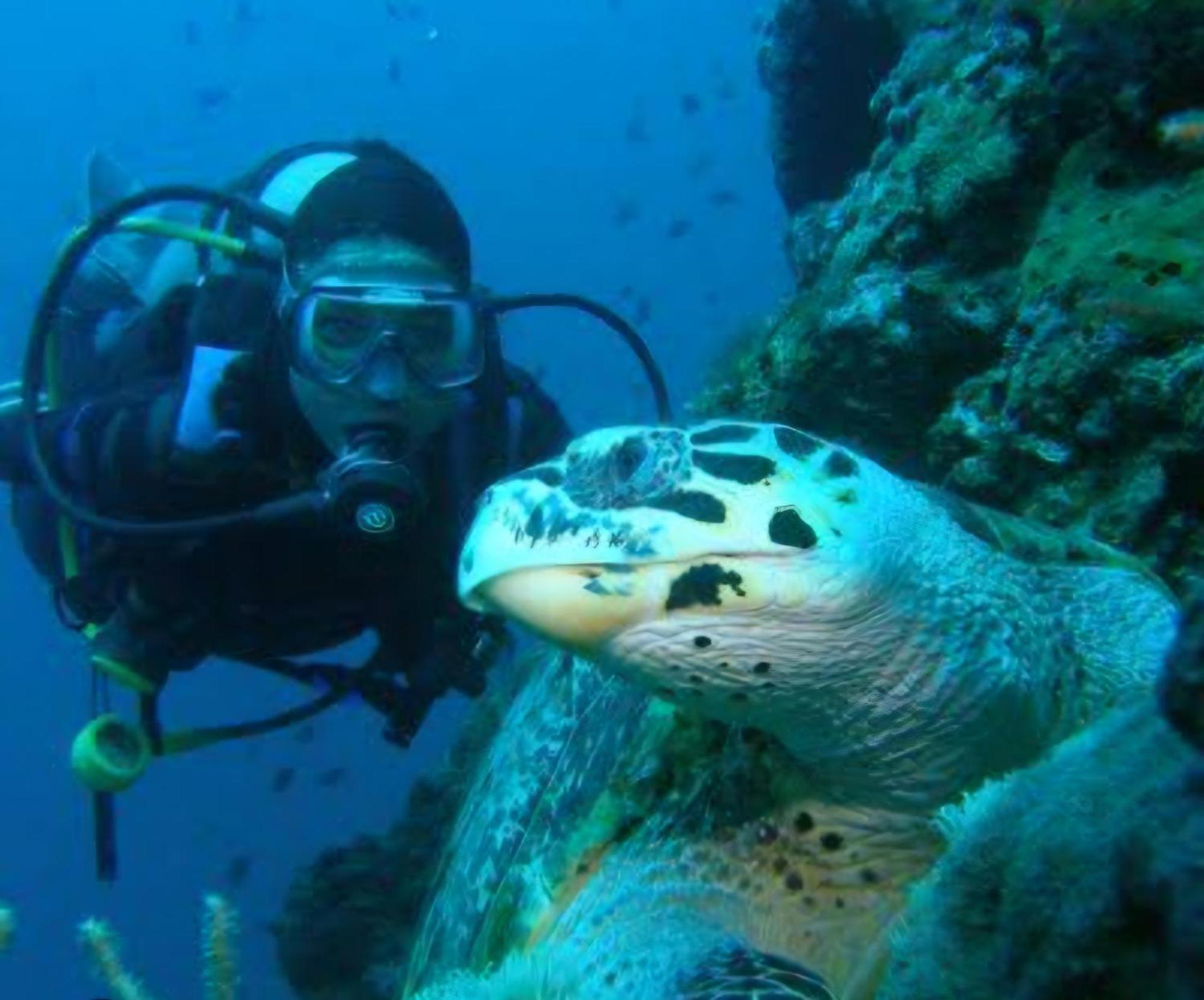 Nirvana Bamboo Houses & Dive Resort Moalboal Bagian luar foto